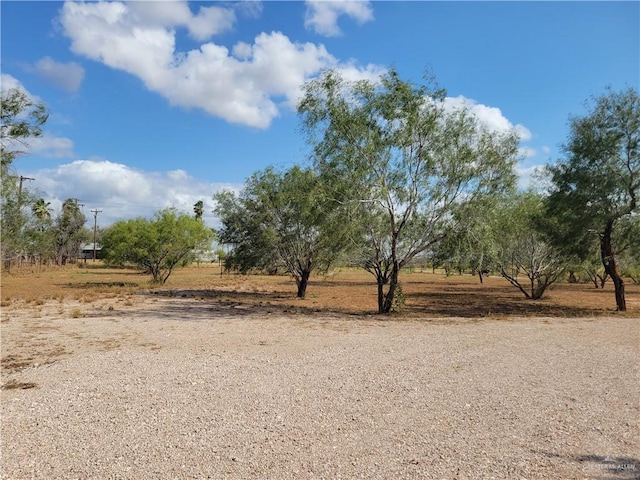 view of yard with a rural view