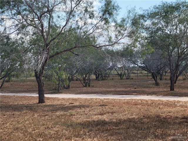 view of yard with a rural view