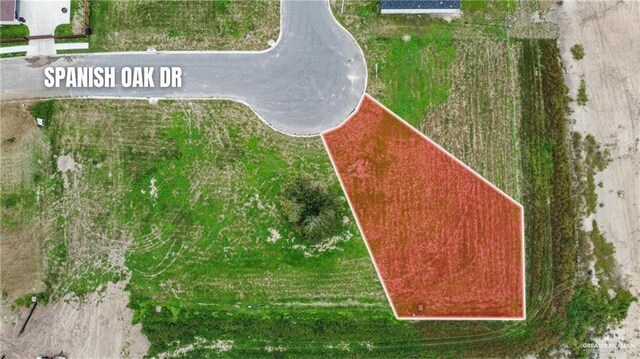 4000 Spanish Oak Dr, Weslaco, TX 78599