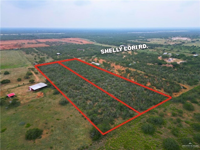 35464 Shelly Lori Rd, Edinburg, TX 78541
