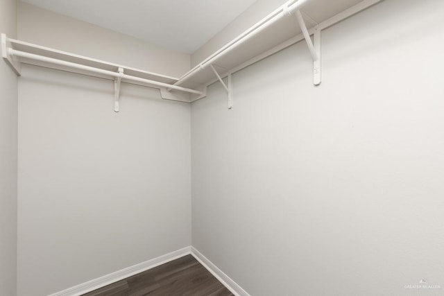 14222 Chalk Ridge Dr, Mcallen, TX 78504 - spacious closet featuring dark wood finished floors