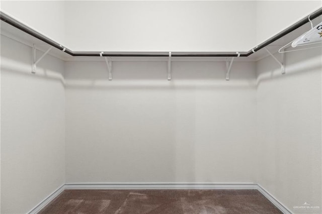 walk in closet with dark colored carpet