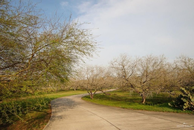 11213 N Fm 88th Blvd, Weslaco, TX 78599 - surrounding community featuring driveway and a yard