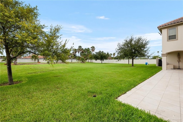 view of yard featuring a patio