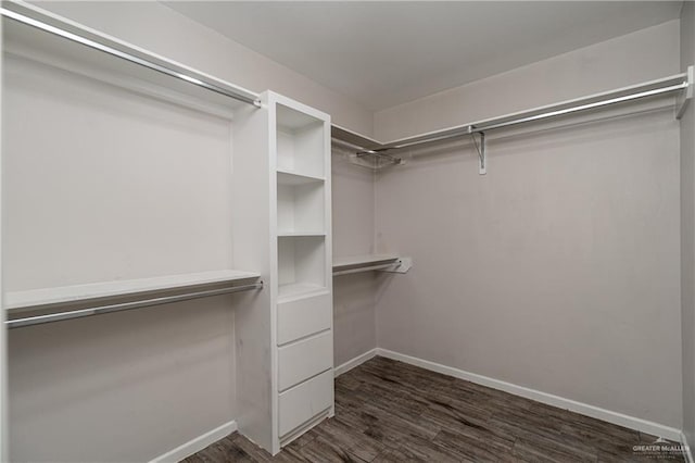 walk in closet with dark wood-type flooring