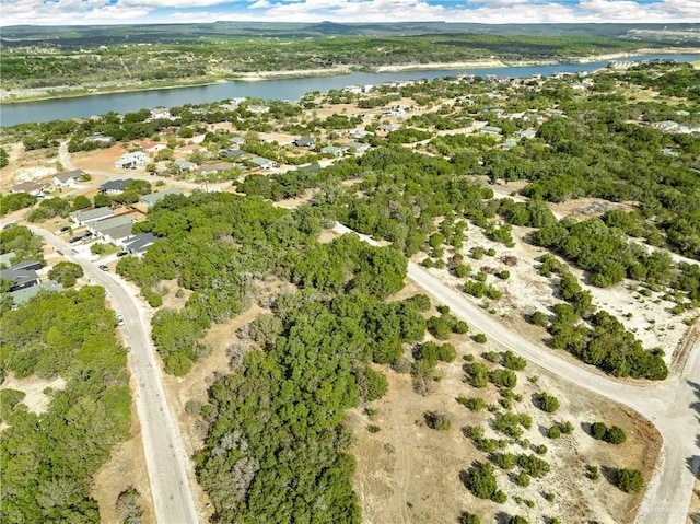 21804 Oxford Dr, Lago Vista, TX 78645 - photo 4