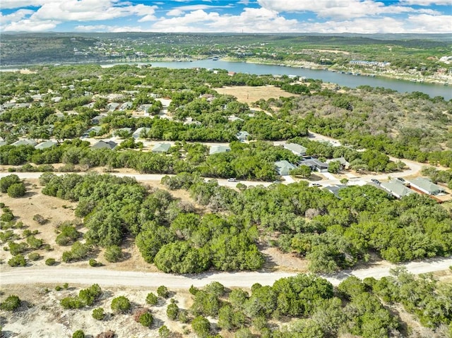 21804 Oxford Dr, Lago Vista, TX 78645 - photo 6