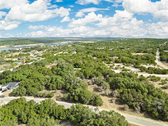 21804 Oxford Dr, Lago Vista, TX 78645 - photo 3
