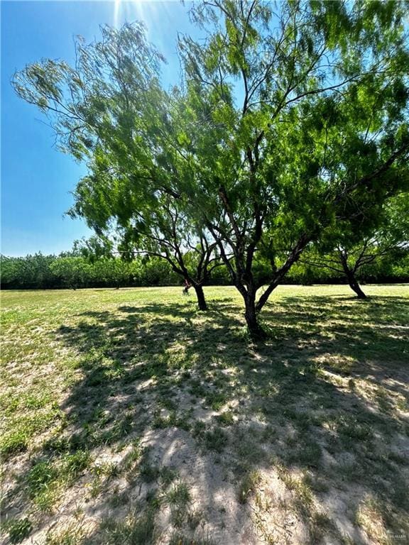 21732 Mile 17 Rd, Edinburg, TX 78541 - view of yard