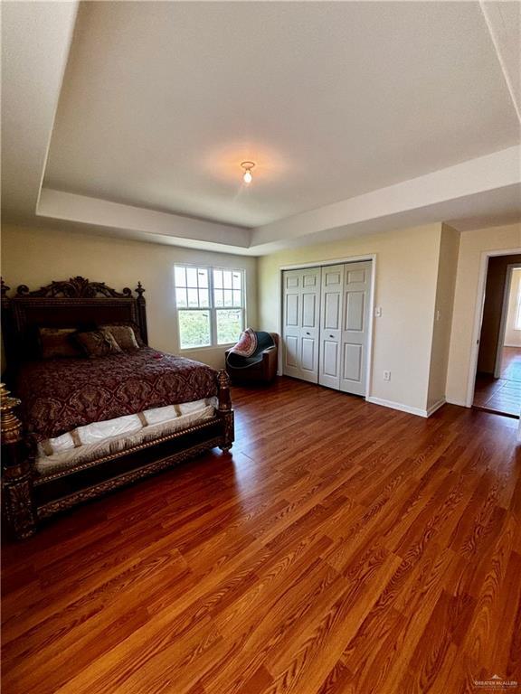 21732 Mile 17 Rd, Edinburg, TX 78541 - bedroom with a raised ceiling, wood finished floors, a closet, and baseboards