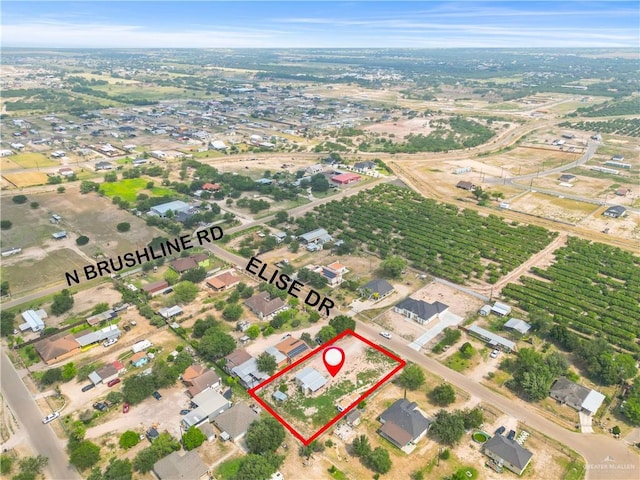 6001 Elisa Dr, Mission, TX 78573 - overview of rural landscape featuring property boundaries highlighted and abundant farmland