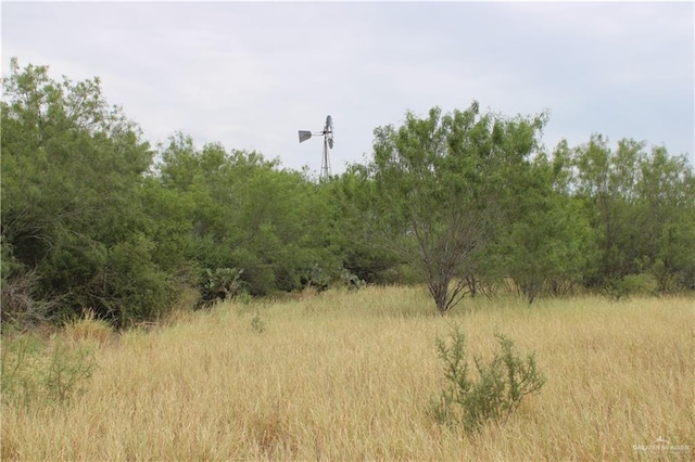 0 Fm 649th Rd, El Sauz, TX 78584 - photo 8