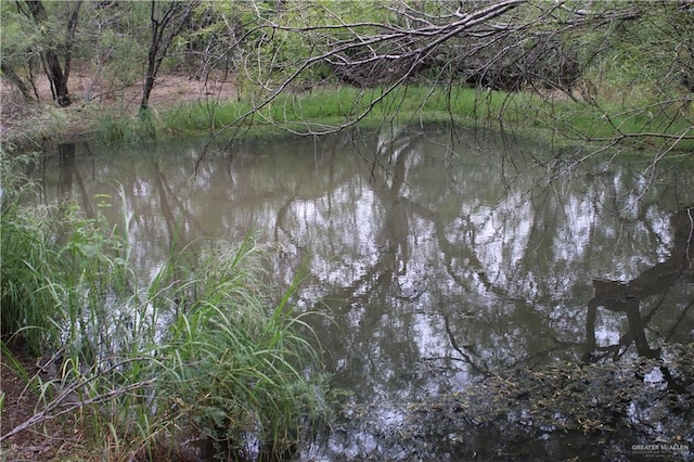 0 Fm 649th Rd, El Sauz, TX 78584 - photo 6