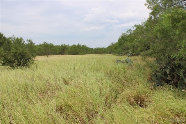 0 Fm 649th Rd, El Sauz, TX 78584 - photo 9
