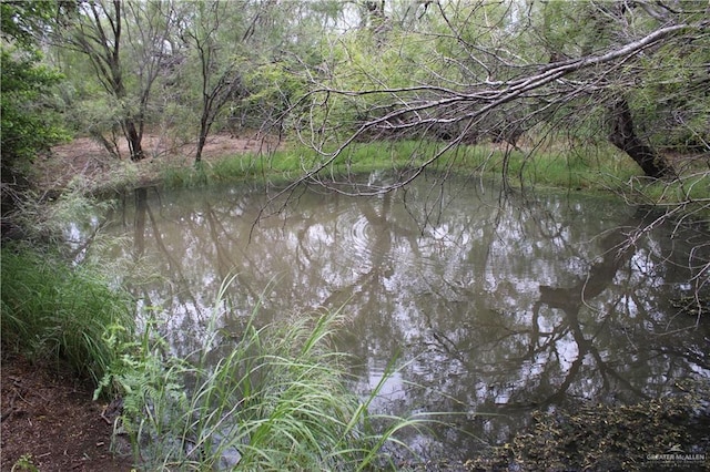 0 Fm 649th Rd, El Sauz, TX 78584 - photo 5