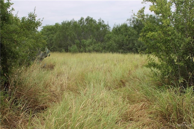 0 Fm 649th Rd, El Sauz, TX 78584 - photo 10