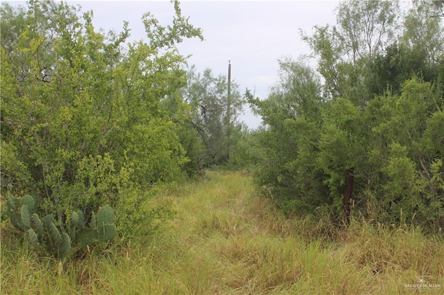 0 Fm 649th Rd, El Sauz, TX 78584 - photo 7