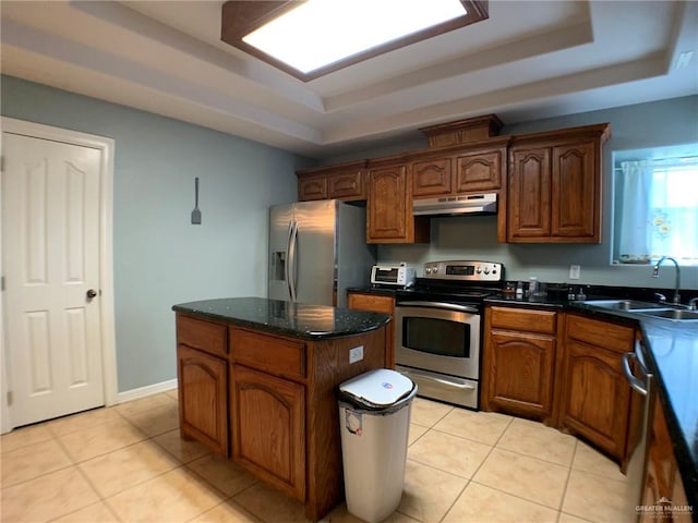 kitchen featuring appliances with stainless steel finishes, a center island, a raised ceiling, and sink