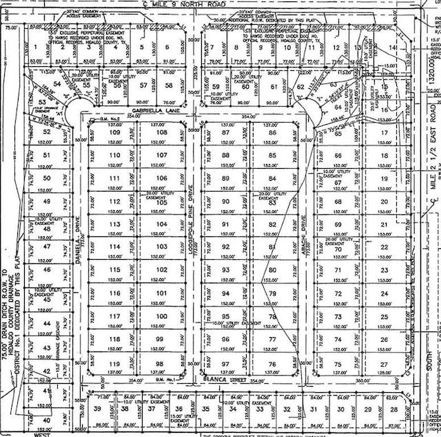 25 Mile 2 1/2 E Road, Mercedes, TX 78570