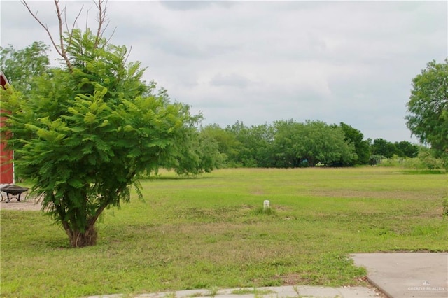 view of local wilderness