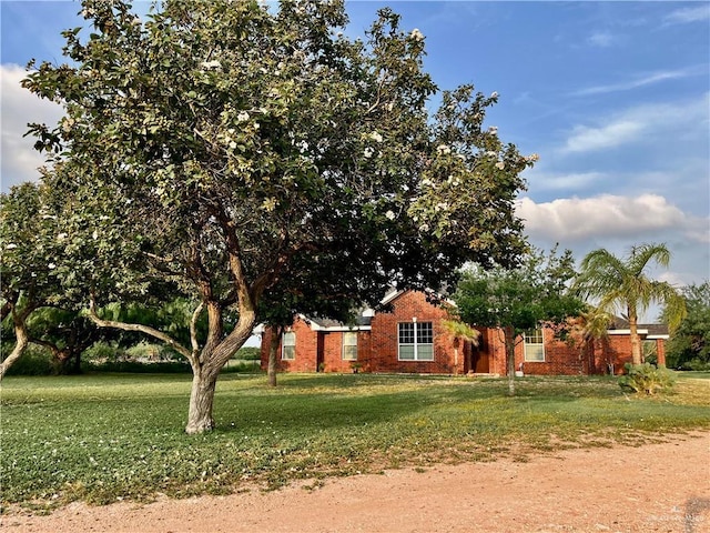 20724 N Fm 493rd Rd, Edinburg, TX 78539 - photo 29