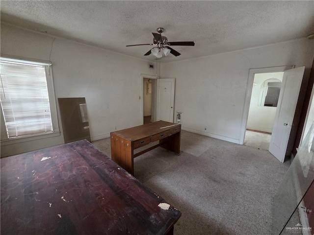 110 E Boone Ave, Pharr, TX 78577 - photo 19