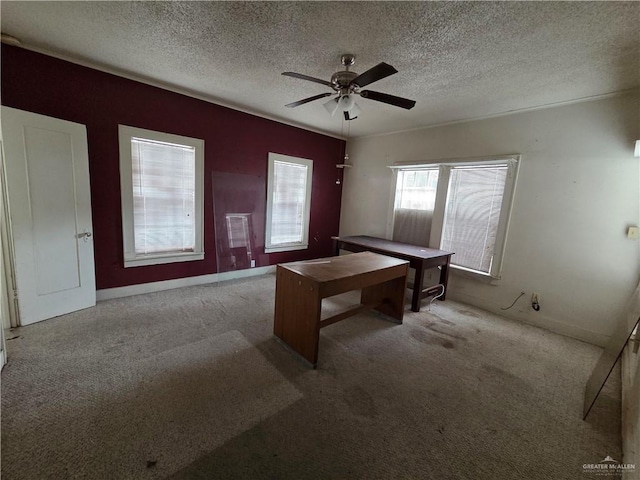 110 E Boone Ave, Pharr, TX 78577 - photo 17