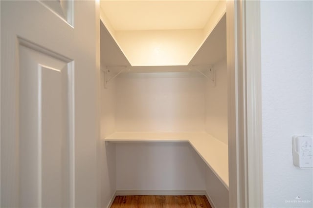 walk in closet featuring wood-type flooring