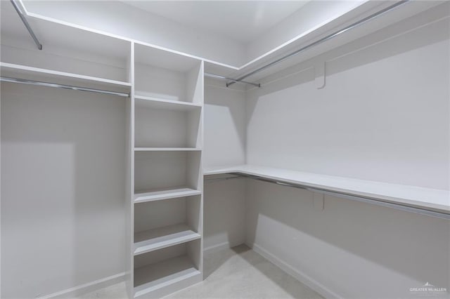 walk in closet with light colored carpet