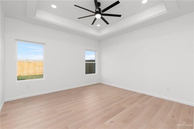 unfurnished room with light hardwood / wood-style floors, a raised ceiling, and a healthy amount of sunlight