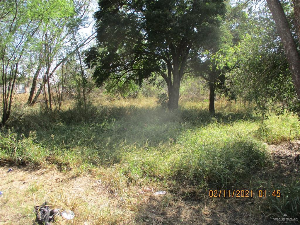 0 E Mirasoles St, Rio Grande City, TX 78582 - photo 3