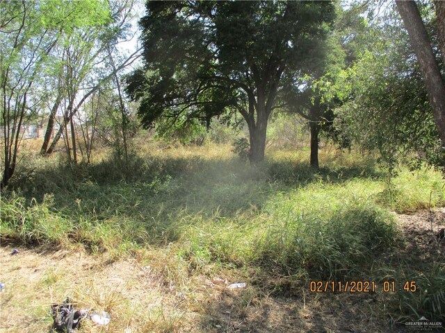 0 E Mirasoles St, Rio Grande City, TX 78582 - photo 3