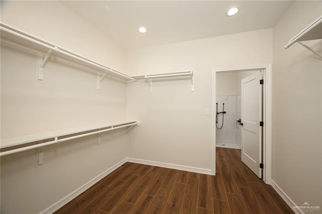 walk in closet featuring dark wood-type flooring