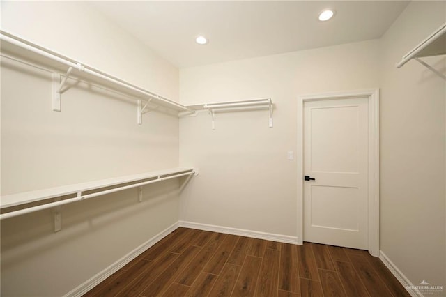 walk in closet with dark wood-type flooring