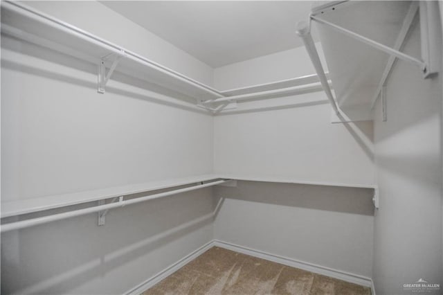 315 Oregano St, Edinburg, TX 78541 - walk in closet featuring carpet flooring