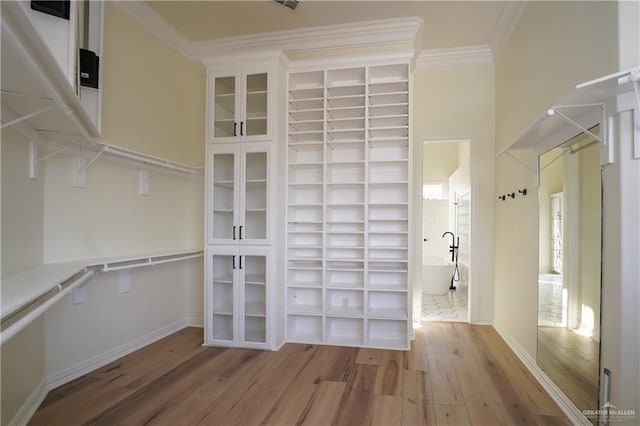 walk in closet with light hardwood / wood-style floors