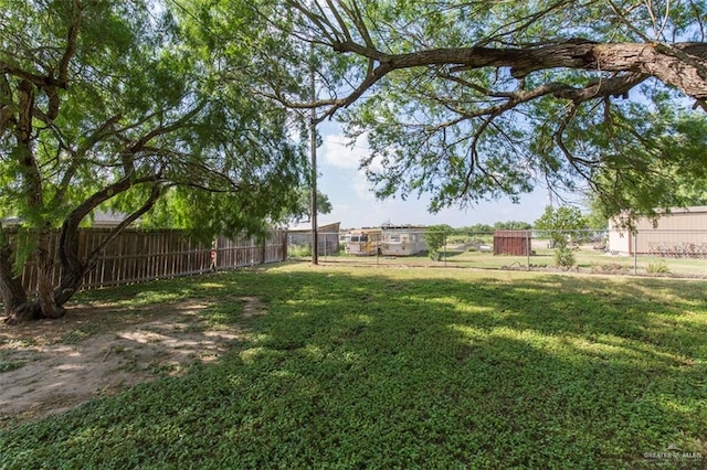 4009 Wescan Ln, Mission, TX 78572 - view of yard