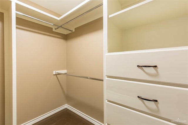 view of walk in closet