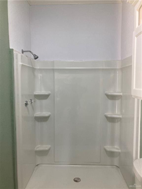 bathroom with a shower and toilet