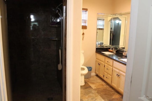 bathroom with vanity, toilet, and a shower