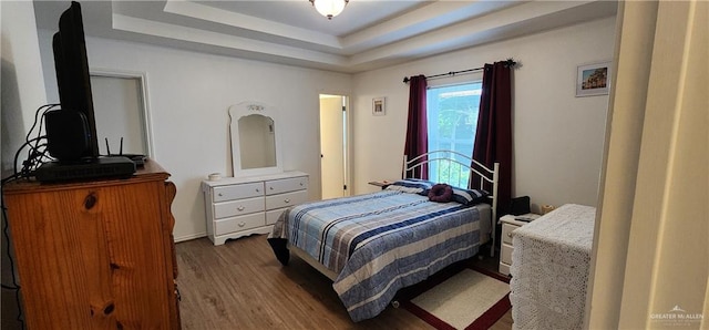 bedroom featuring wood-type flooring and a tray ceiling