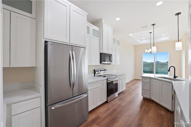 kitchen featuring dark wood-type flooring, a sink, appliances with stainless steel finishes, a tray ceiling, and glass insert cabinets