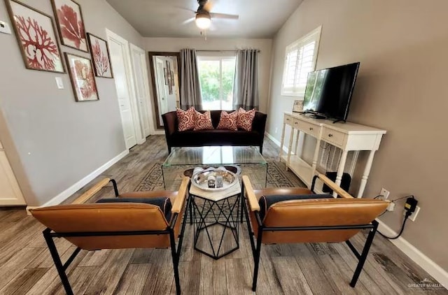 102 E Tarpon St, South Padre Island, TX 78597 - living room featuring wood finished floors and ceiling fan