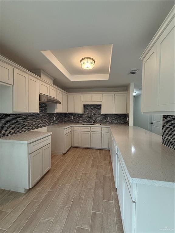 kitchen featuring tasteful backsplash, a raised ceiling, wood finish floors, under cabinet range hood, and a sink