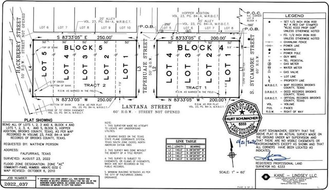 0 E Retama St, Falfurrias TX, 78355 land for sale