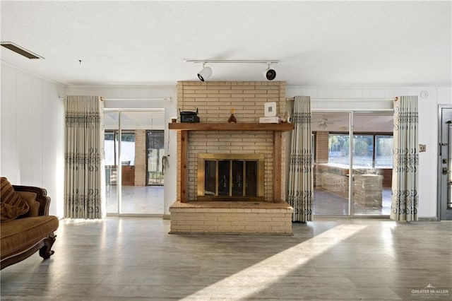 living room with a fireplace, hardwood / wood-style floors, and rail lighting