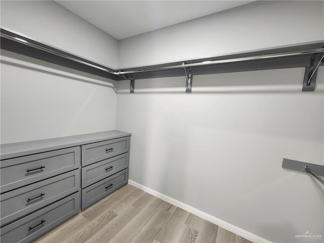 2838 Allen Dr, Edinburg, TX 78539 - spacious closet with light wood-type flooring
