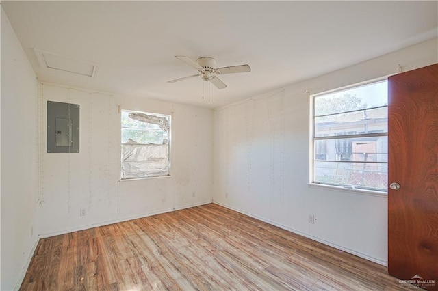 unfurnished room with ceiling fan, a wealth of natural light, light wood-type flooring, and electric panel