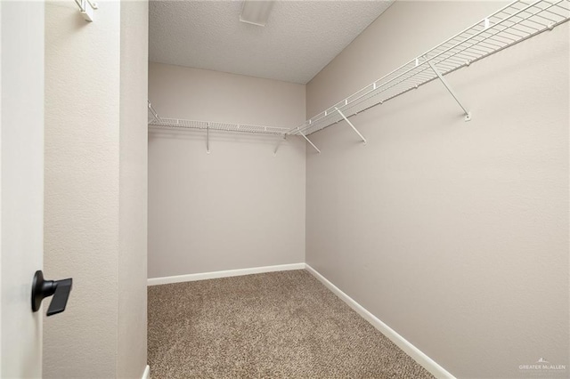 3502 San Gabriel St, Mission, TX 78572 - photo 10