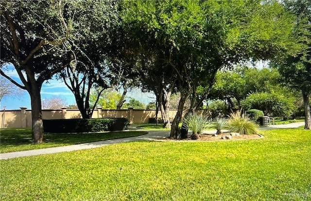 1313 Ozark Ave, Mcallen, TX 78504 - photo 36